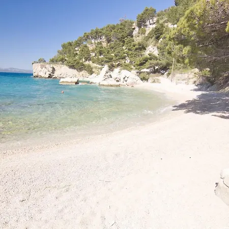 別荘 House Botta Marusici